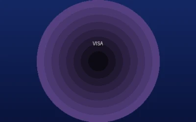 Visa信用卡支付图标